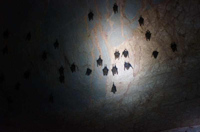 Ноябрь 2014. БКК-Краби-Као Сок- Чео Лан-БКК. Помогите по маршруту и передвижениям, плиииз.