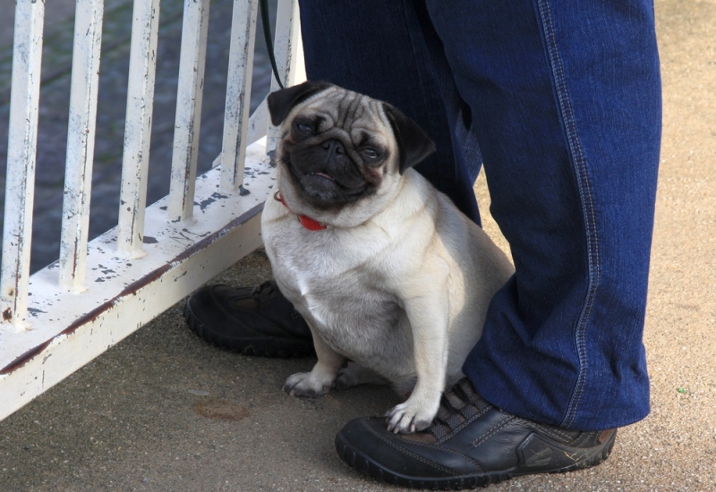 Европейская прелюдия осени в обнимку с фотоаппаратом!