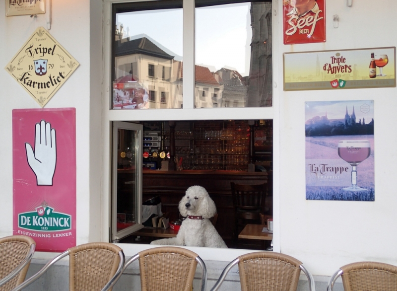 Европейская прелюдия осени в обнимку с фотоаппаратом!