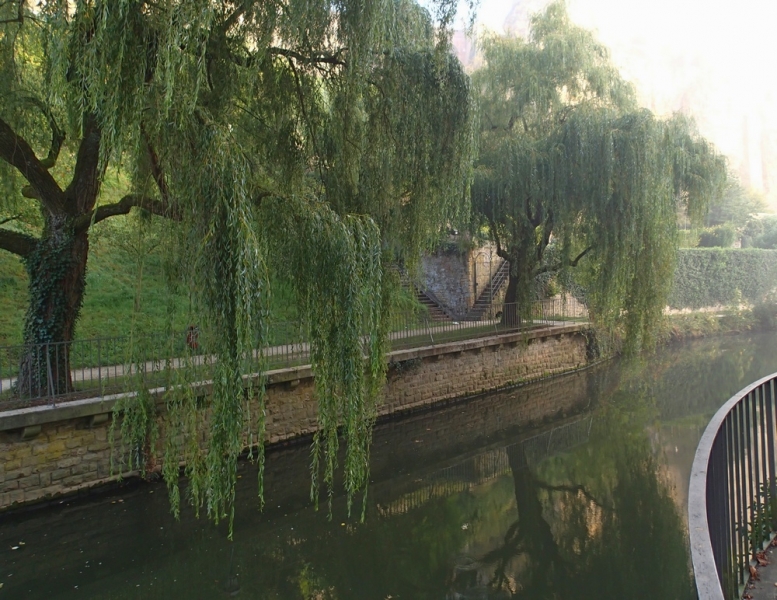 Европейская прелюдия осени в обнимку с фотоаппаратом!