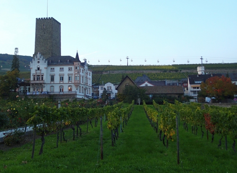 Европейская прелюдия осени в обнимку с фотоаппаратом!