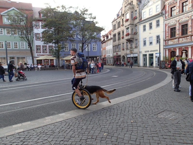Европейская прелюдия осени в обнимку с фотоаппаратом!