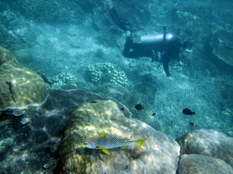 Малайзия 2013 - Борнео, Куала-Лумпур, Перхентианы - маршрут на месяц