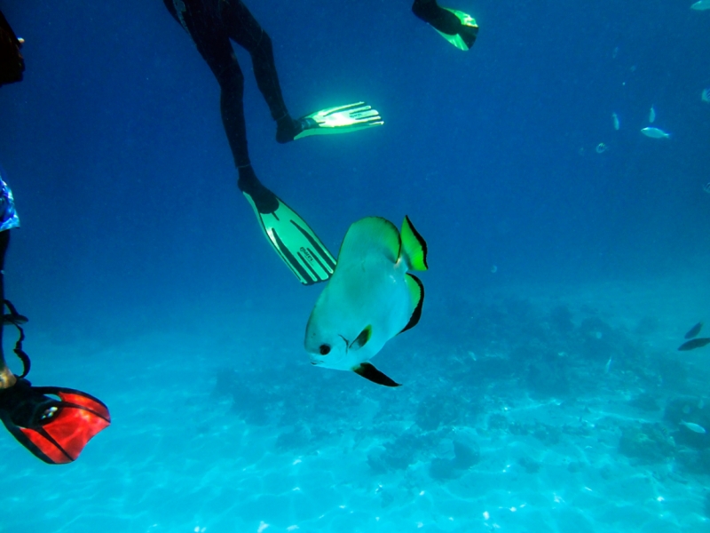 Малайзия 2013 - Борнео, Куала-Лумпур, Перхентианы - маршрут на месяц