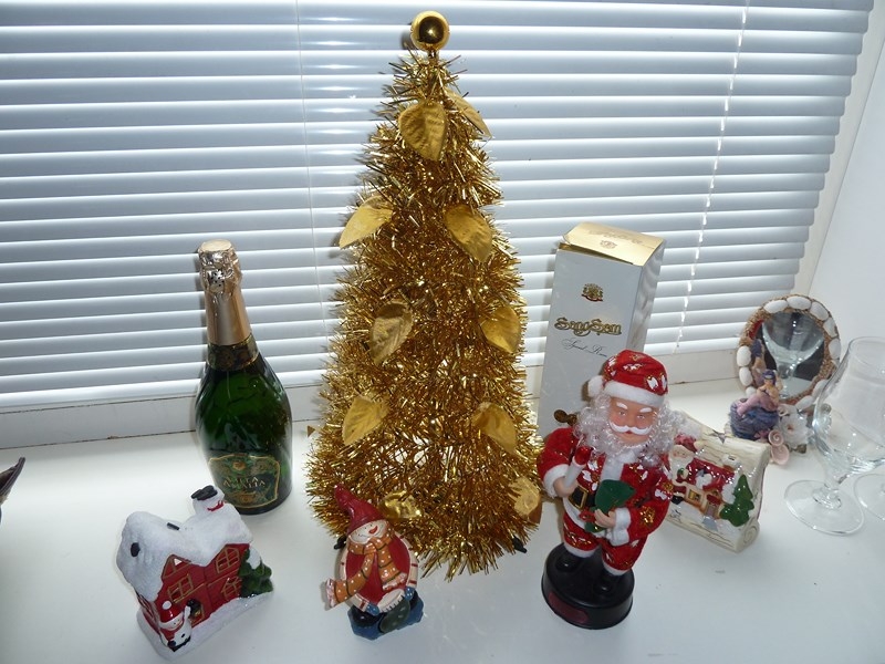 Красноярск, встреча форума Винского