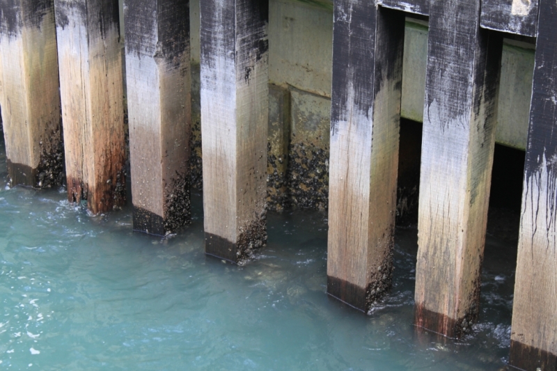 Повседневный Гонконг