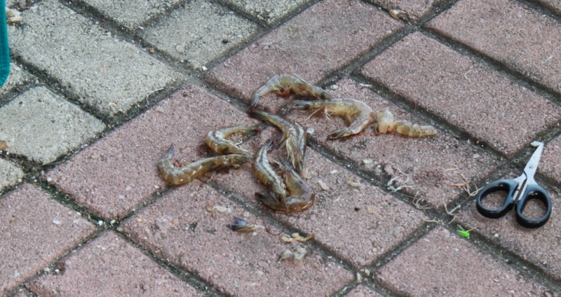 Повседневный Гонконг