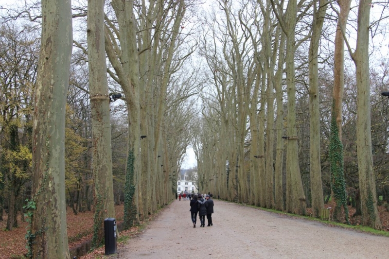 Впечатлениям вдогонку Амстердам-Брюссель-Гент-Париж (Декабрь 2014)