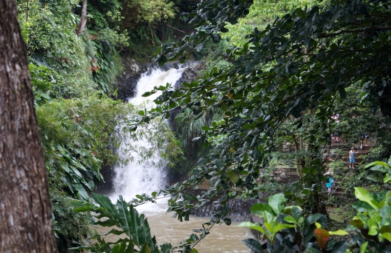 Перворазники на Карибах: круиз на P&O Ventura