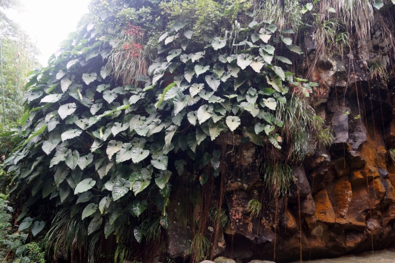 Перворазники на Карибах: круиз на P&O Ventura