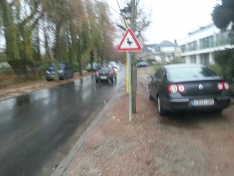 Впечатлениям вдогонку Амстердам-Брюссель-Гент-Париж (Декабрь 2014)