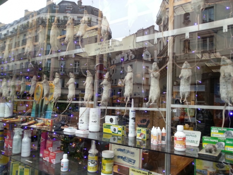 Впечатлениям вдогонку Амстердам-Брюссель-Гент-Париж (Декабрь 2014)