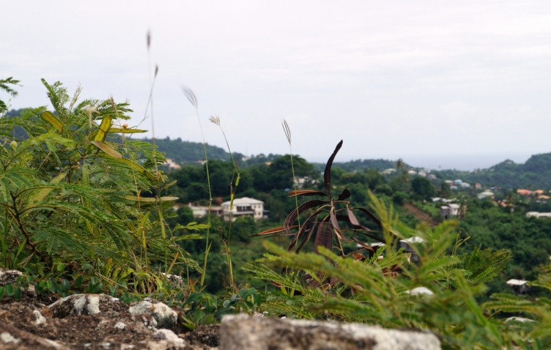 Перворазники на Карибах: круиз на P&O Ventura