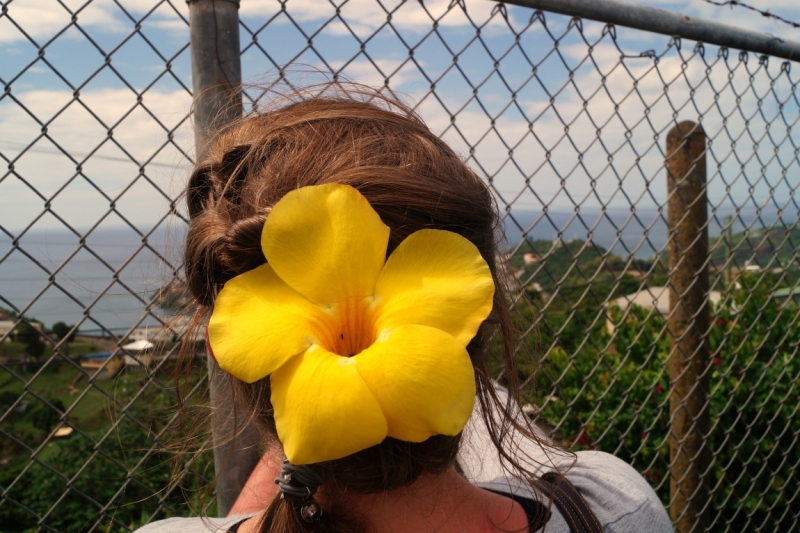 Перворазники на Карибах: круиз на P&O Ventura