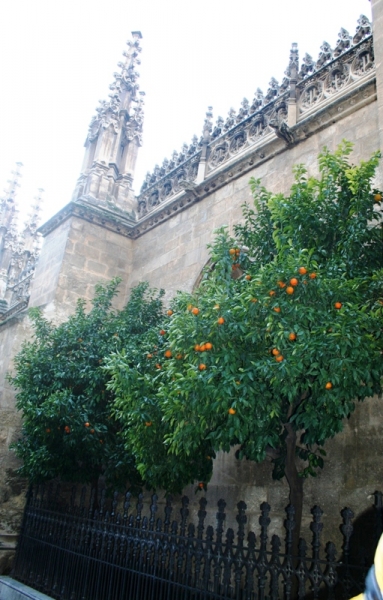 Автопутешествие «Новогодние каникулы на краю «Старого Света»