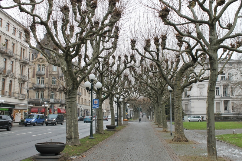 Висбаден – Новый год (Сильвестр 2015) - Термы