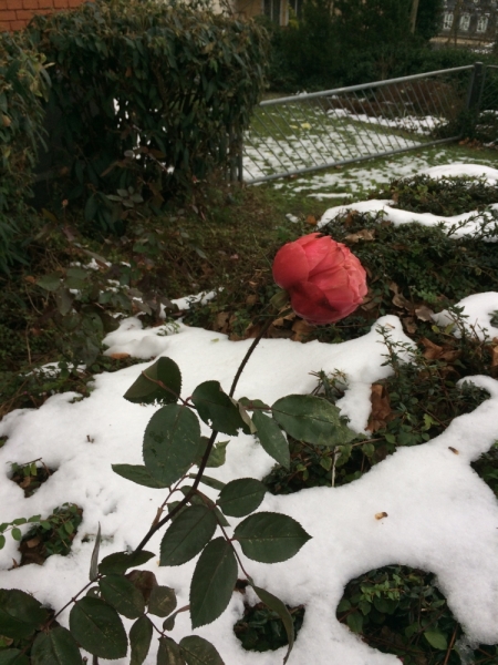 Висбаден – Новый год (Сильвестр 2015) - Термы