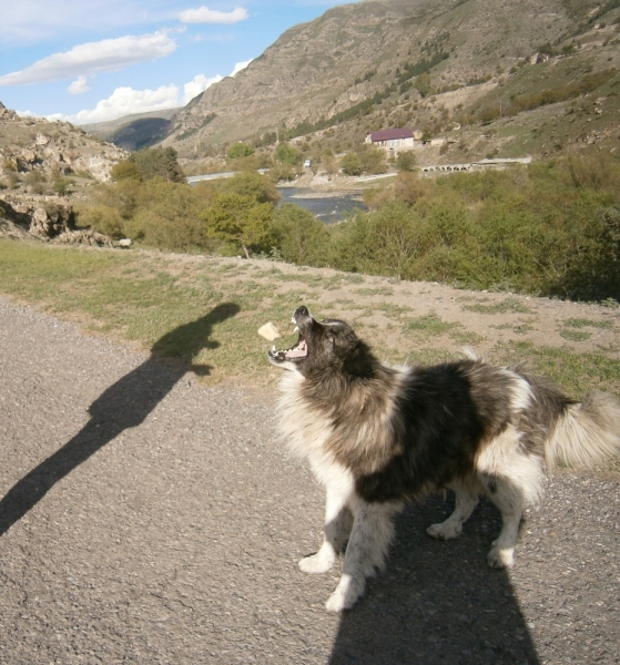 Армения-Грузия , май 2014