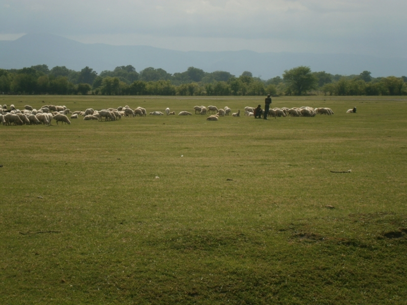 Армения-Грузия , май 2014