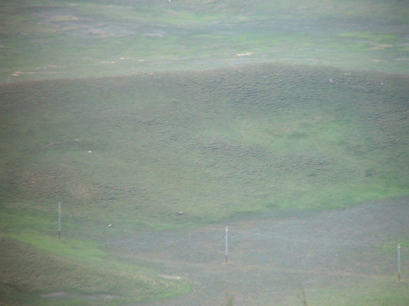 Армения-Грузия , май 2014