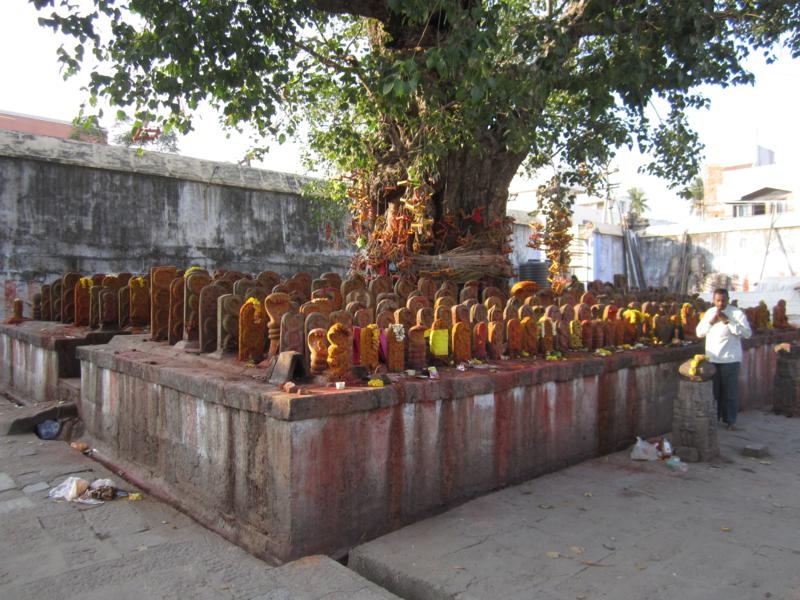 Индия (юг: Керала, Тамил наду)