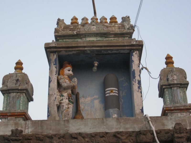 Индия (юг: Керала, Тамил наду)