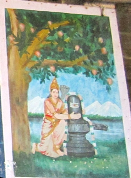 Индия (юг: Керала, Тамил наду)