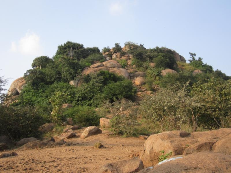 Индия (юг: Керала, Тамил наду)