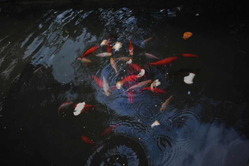 Испания-Португалия-Франция-Монако 2014. В погоне за впечатлениями.