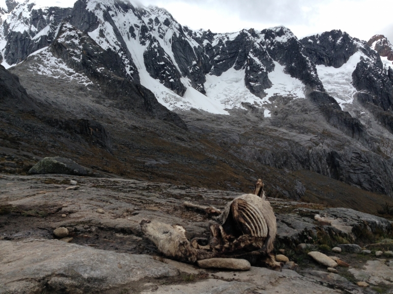 Перу - горы, инки, быт и нравы. Октябрь-ноябрь 2014