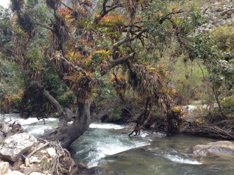 Перу - горы, инки, быт и нравы. Октябрь-ноябрь 2014