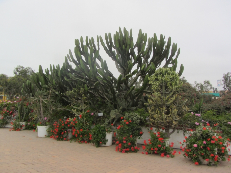 Перу - горы, инки, быт и нравы. Октябрь-ноябрь 2014