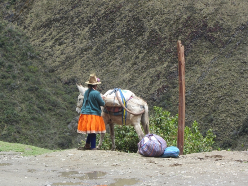 Перу - горы, инки, быт и нравы. Октябрь-ноябрь 2014