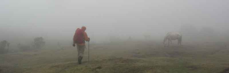 Перу - горы, инки, быт и нравы. Октябрь-ноябрь 2014