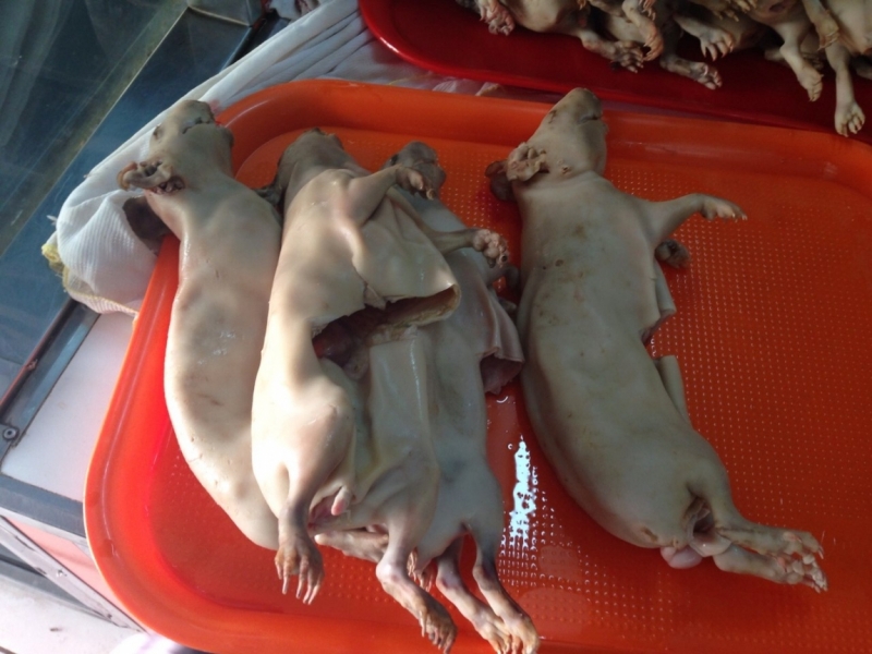 Перу - горы, инки, быт и нравы. Октябрь-ноябрь 2014