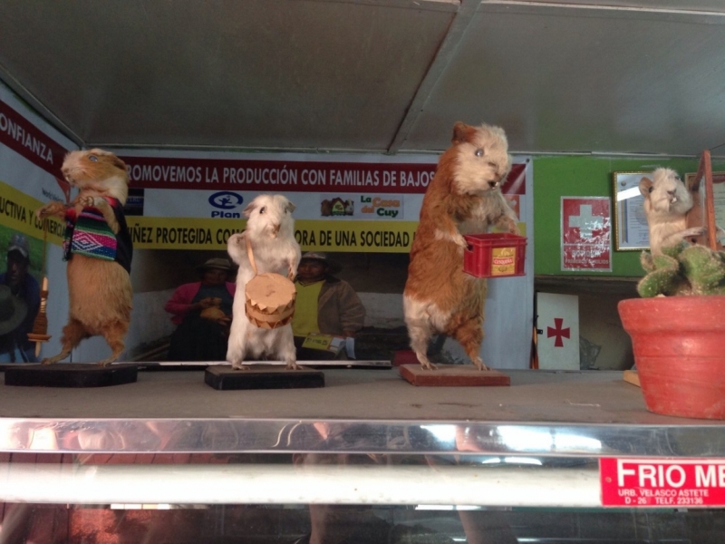 Перу - горы, инки, быт и нравы. Октябрь-ноябрь 2014