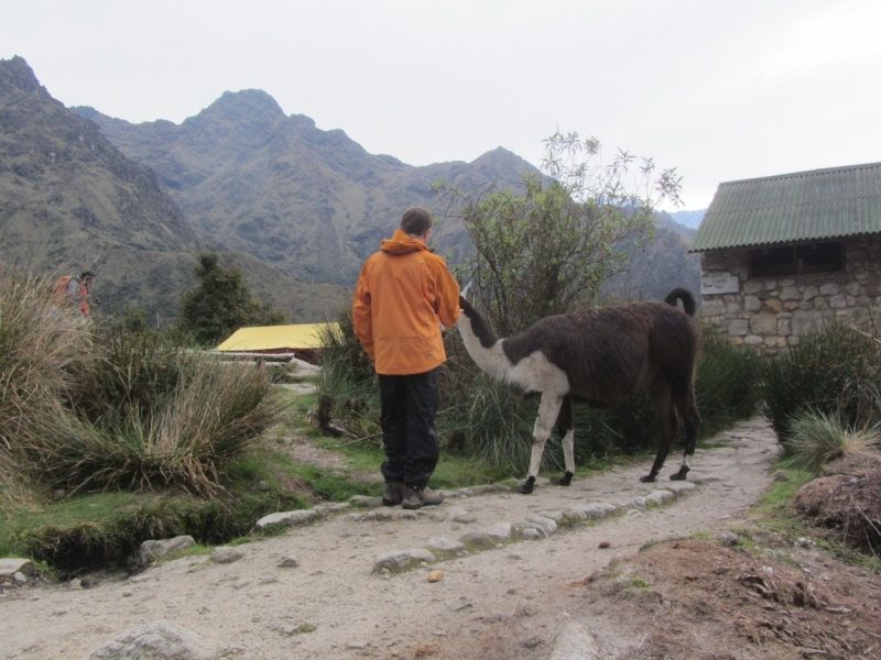 Перу - горы, инки, быт и нравы. Октябрь-ноябрь 2014