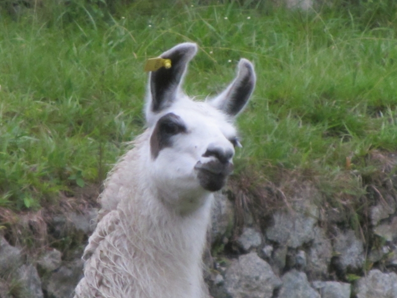 Перу - горы, инки, быт и нравы. Октябрь-ноябрь 2014