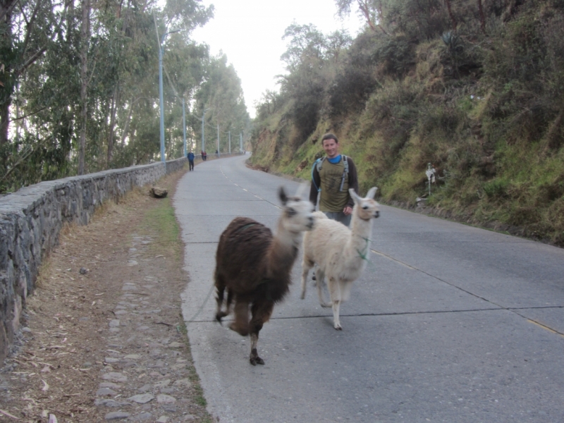Перу - горы, инки, быт и нравы. Октябрь-ноябрь 2014