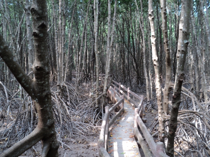 По южному Вьетнаму или к самой южной точке мысу Камау
