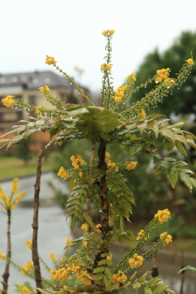 Отдых в Сочи Адлере Абхазии отзывы