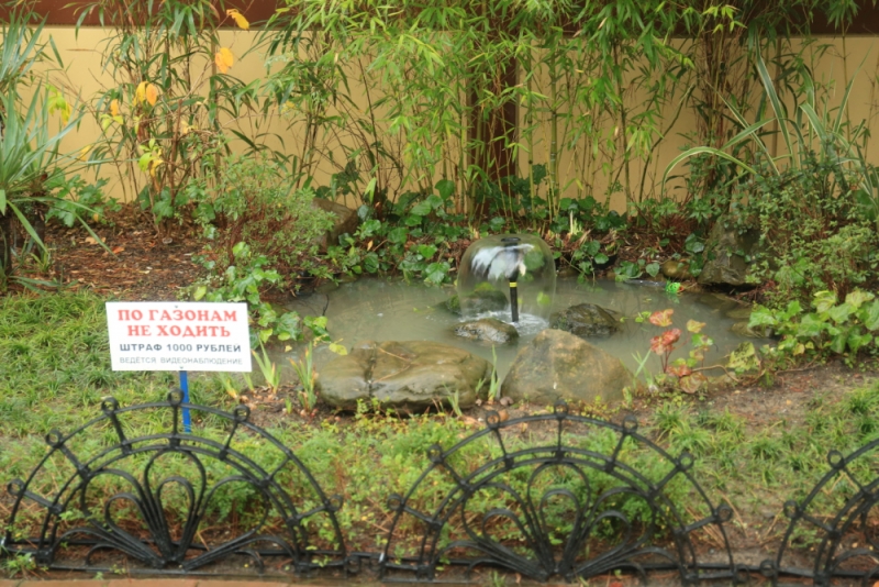 Отдых в Сочи Адлере Абхазии отзывы