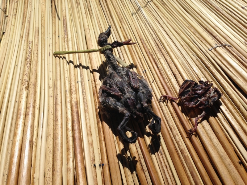 Перу - горы, инки, быт и нравы. Октябрь-ноябрь 2014