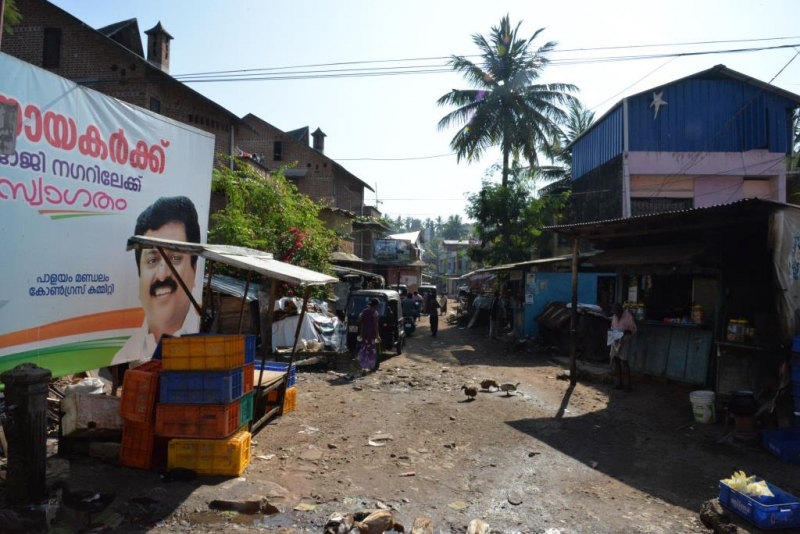 Маршрут:  Аллеппи – Коллам – Тривандрум – Агра – Дели