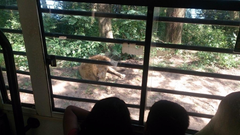 Маршрут:  Аллеппи – Коллам – Тривандрум – Агра – Дели