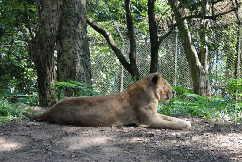 Маршрут:  Аллеппи – Коллам – Тривандрум – Агра – Дели