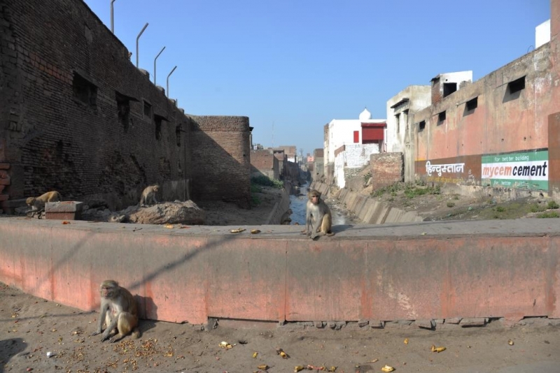 Маршрут:  Аллеппи – Коллам – Тривандрум – Агра – Дели