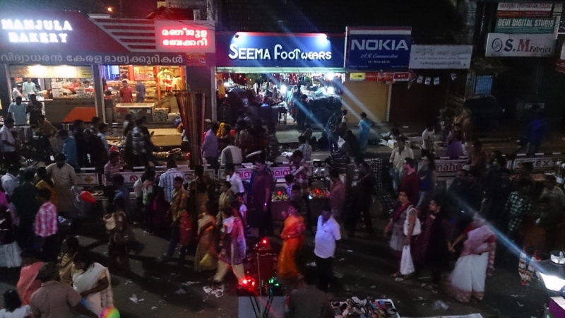 Маршрут:  Аллеппи – Коллам – Тривандрум – Агра – Дели