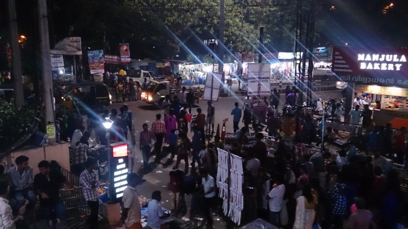 Маршрут:  Аллеппи – Коллам – Тривандрум – Агра – Дели