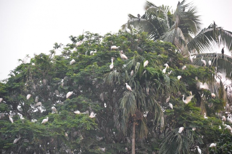 Маршрут:  Аллеппи – Коллам – Тривандрум – Агра – Дели